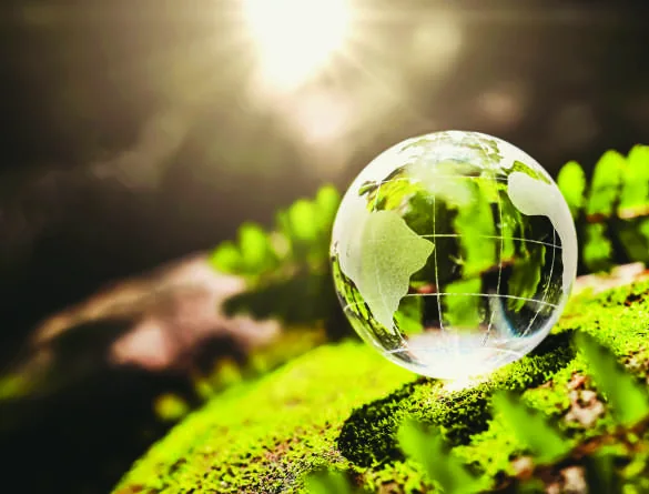 Protection de l'environnement et du développement durable
